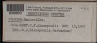 Image Associated With the Occurence